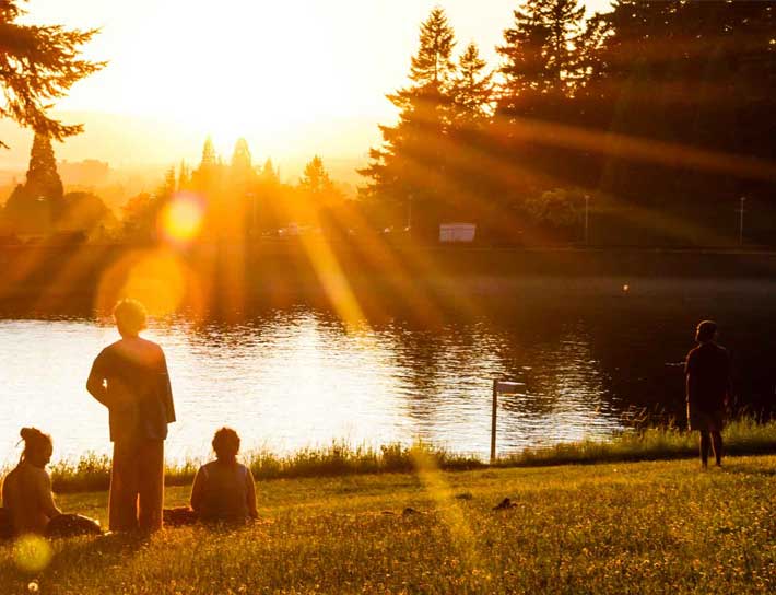 Sunshine on lake
